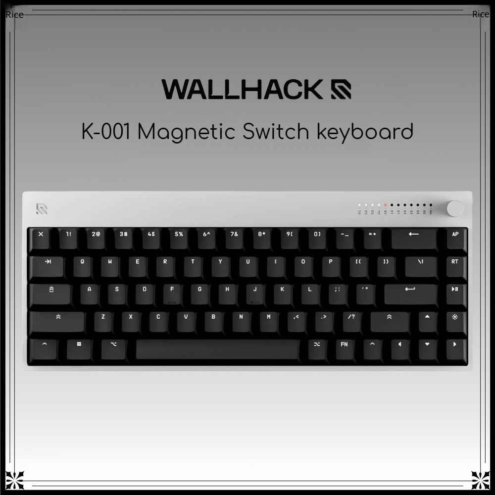 Gaming Keyboard Hall Effect Switches - Clavier filaire WALLHACK K-001 à interrupteurs